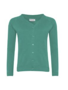 Blue Cardigan